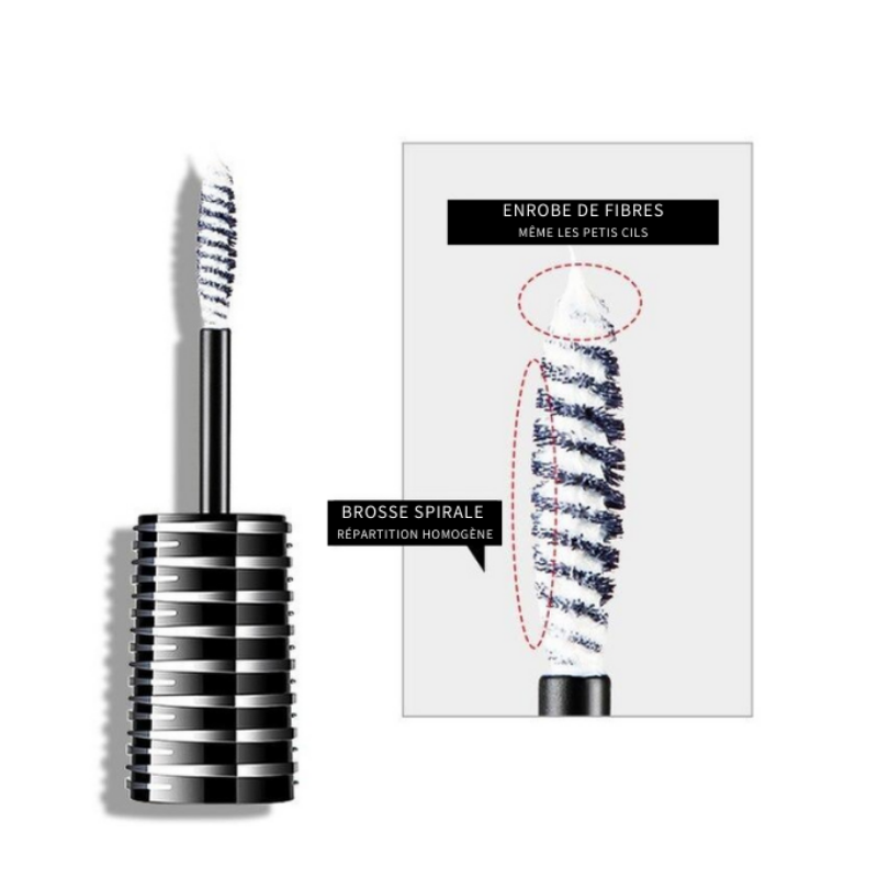 Base Fibres Densité Brosse Spirale